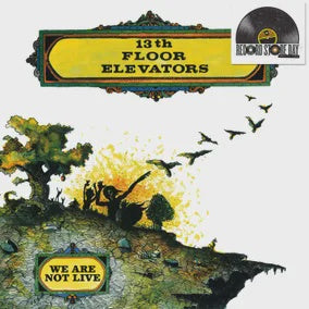 13TH FLOOR ELEVATORS-WE ARE NOT LIVE LP *NEW*
