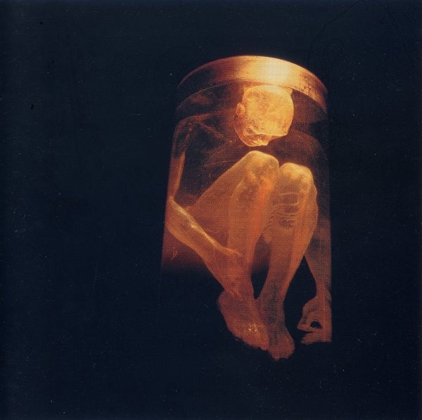 ALIVE IN CHAINS-NOTHING SAFE CD VG