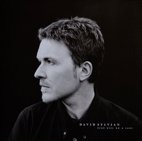 SYLVIAN DAVID- DEAD BEES ON A CAKE 2LP EX COVER EX-