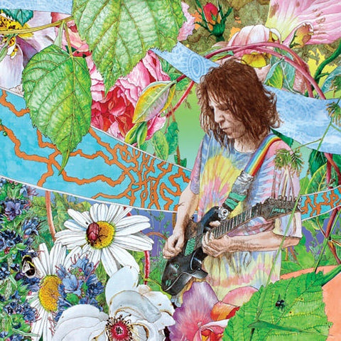 WYNNE ED-SHIMMER INTO NATURE LP EX COVER EX