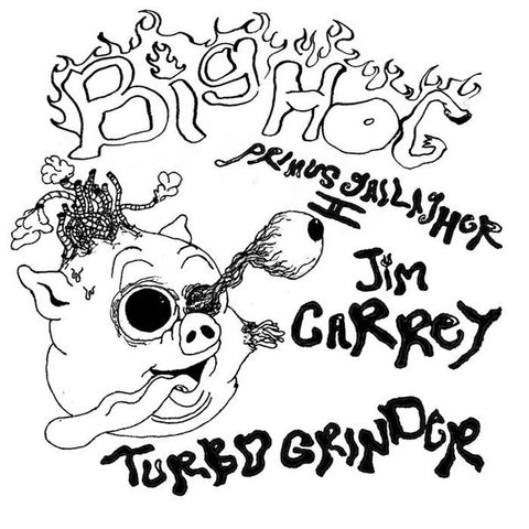 BIG HOG, RESOURCE NETWORK THE-BIG HOG/3 SONGS FOR CONSUMPTION 7" EP *NEW*