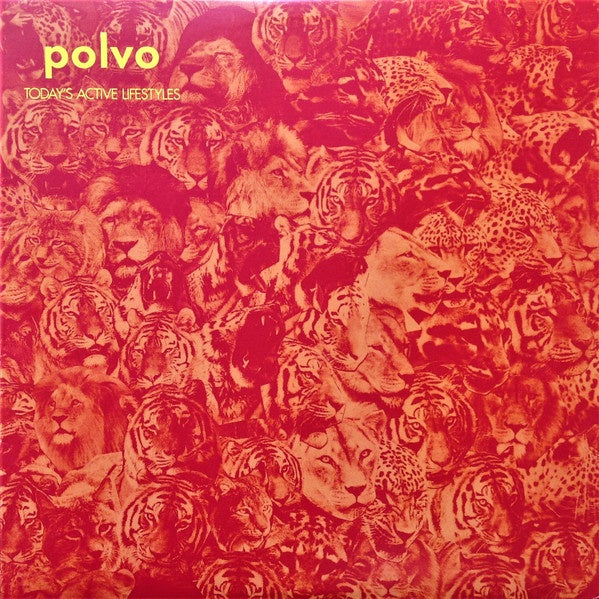 POLVO-TODAY'S ACTIVE LIFESTYLES LP EX COVER EX