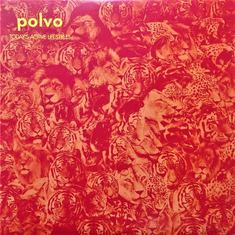 POLVO-TODAY'S ACTIVE LIFESTYLES LP EX COVER EX