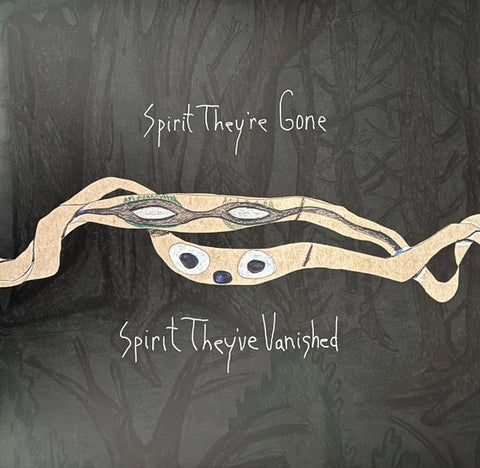 ANIMAL COLLECTIVE-SPIRIT THEY'RE GONE SPIRIT THEY'VE VANISHED GREEN VINYL 2LP NM COVER EX