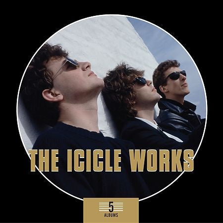 ICICLE WORKS THE-5 ALBUMS 5CD NM