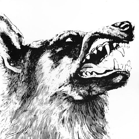 CRIPPLED BLACK PHOENIX-I VIGILANTE 2LP NM COVER VG+