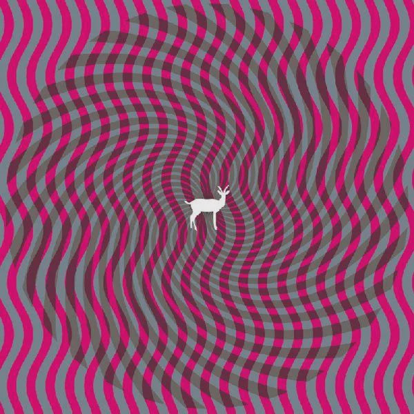 DEERHUNTER-CRYPTOGRAMS CD VG