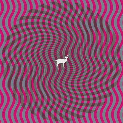 DEERHUNTER-CRYPTOGRAMS CD VG