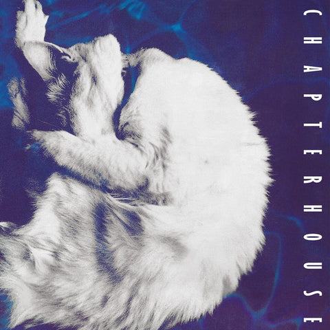 CHAPTERHOUSE-WHIRLPOOL LP EX COVER NM