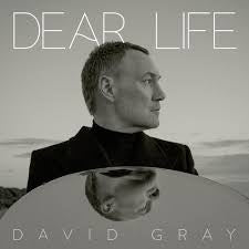 GRAY DAVID-DEAR LIFE CD *NEW*