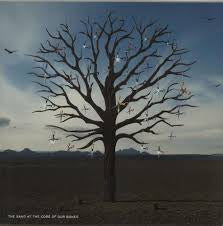 BIFFY CLYRO-OPPOSITES 2LP  VG+ COVER VG+