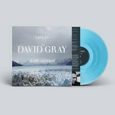 GRAY DAVID-LIFE IN SLOW MOTION BLUE VINYL LP *NEW*