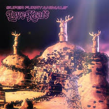 SUPER FURRY ANIMALS-LOVE KRAFT 2LP *NEW