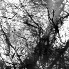 GROUPER-WAY THEIR CREPT LP *NEW*