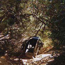 SEGALL TY-POSSESSION CD *NEW*