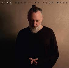 FINK-BEAUTY IN YOUR WAKE CD *NEW*