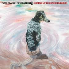 PURE REASON REVOLUTION-COMING UP TO CONSCIOUSNESS CD *NEW*