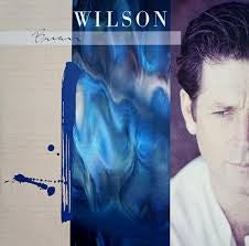 WILSON BRIAN-BRIAN WILSON BLUE SWIRL VINYL 2LP  NM COVER VG+