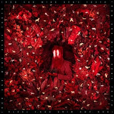 IRON & WINE-HEN'S TEETH CD *NEW*