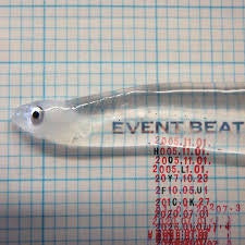 HOLY FUCK-EVENT BEAT LP *NEW*