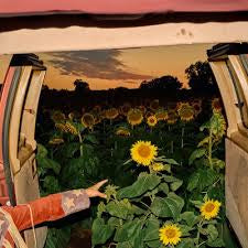 MORBY KEVIN-LITTLE WIDE OPEN CD *NEW*