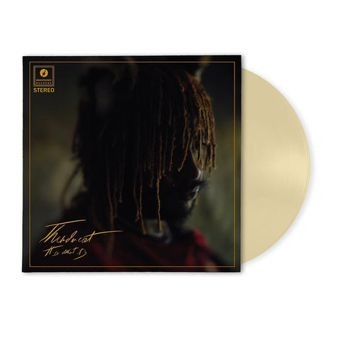 THUNDERCAT-IT IS WHAT IT IS CREAM VINYL LP NM COVER VG+