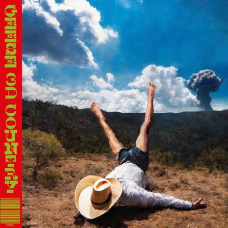 GEESE-3D COUNTRY CLEAR VINYL LP *NEW*