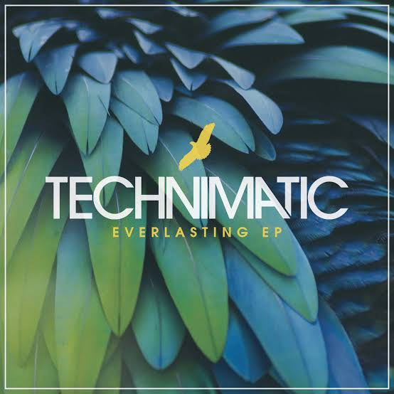 TECHNIMATIC-EVERLASTING BLUE MARBLED VINYL 12" EP NM COVER EX