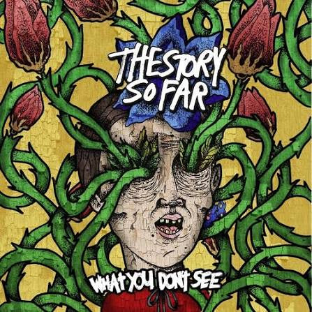 STORY SO FAR THE-WHAT YOU DON'T SEE CRAYON MARBLE VINYL LP *NEW*