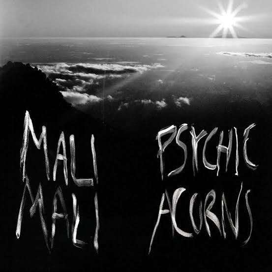 MALI MALI-PSYCHIC ACORNS 2LP *NEW*