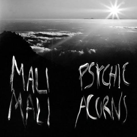 MALI MALI-PSYCHIC ACORNS 2LP *NEW*
