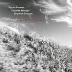 TANAKA/ MORGAN/ STRONEN-WINDFLOWER CD *NEW*