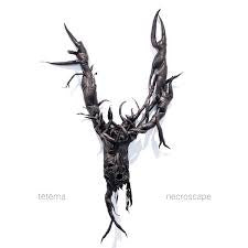 TETEMA-NECROSCAPE CD *NEW*