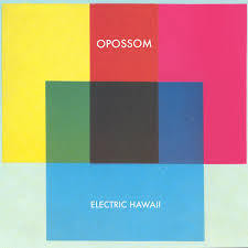 OPOSSUM-ELECTRIC HAWAII CD VG