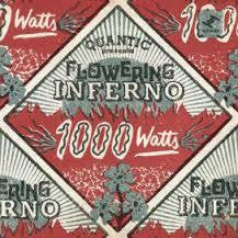QUANTIC PRESENTA FLOWERING INFERNO-1000 WATTS CD *NEW*