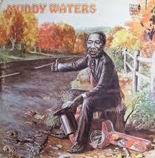 WATERS MUDDY-MUDDY WATERS 2LP VG COVER VG