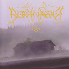 BORKNAGAR-BORKNAGAR CD G