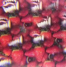 THEE OH SEES-FLOATING COFFIN LP *NEW*