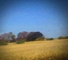 SUN KIL MOON-BENJI CD *NEW*