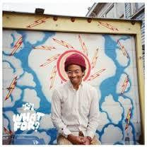 TORO Y MOI-WHAT FOR ? *NEW*