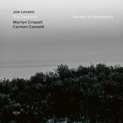 LOVANO JOE TRIO TAPESTRY-GARDEN OF EXPRESSION LP *NEW*