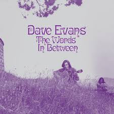EVANS DAVE-THE WORDS IN BETWEEN LP *NEW*