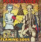FLESH D-VICE-FLAMING SOUL 2CD *NEW*