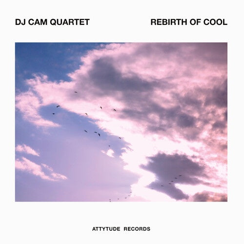 DJ CAM QUARTET-REBIRTH OF THE COOL PINK VINYL LP *NEW*