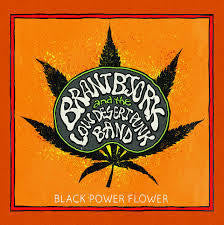 BJORK BRANT-BLACK POWER FLOWER LP *NEW*