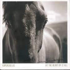 CAPERCILLIE-AT THE HEART OF IT ALL CD *NEW*