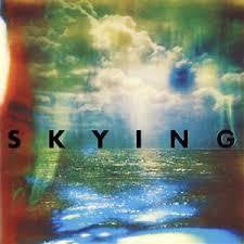 HORRORS THE-SKYING CD *NEW*