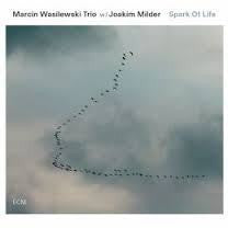 WASILEWSKI MARCIN TRIO-SPARK OF LIFE CD *NEW*