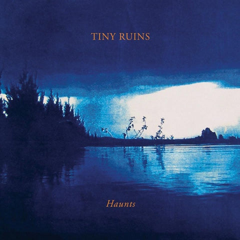 TINY RUINS-HAUNTS CD VG