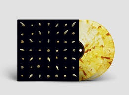 CLIPPING-VISIONS OF BODIES BEING BURNED 2LP *NEW*